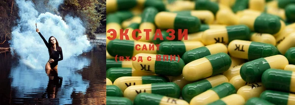 гидропоника Гусиноозёрск