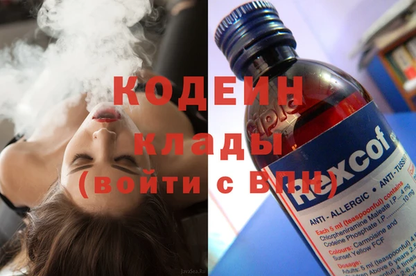 гидра Гусь-Хрустальный
