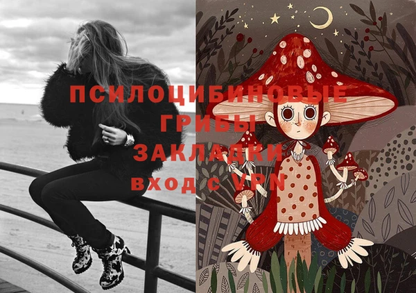 гидропоника Гусиноозёрск