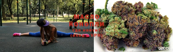 гидра Гусь-Хрустальный