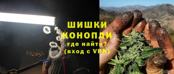 гидра Гусь-Хрустальный