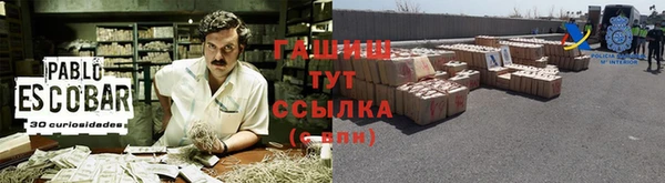 гидропоника Гусиноозёрск