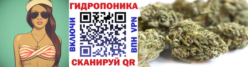 Купить закладки  Миньяр  Каннабис Amnesia 